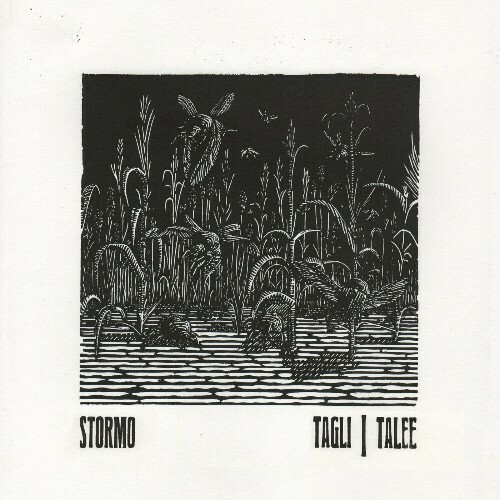  Stormo - Tagli/Talee (2025) 