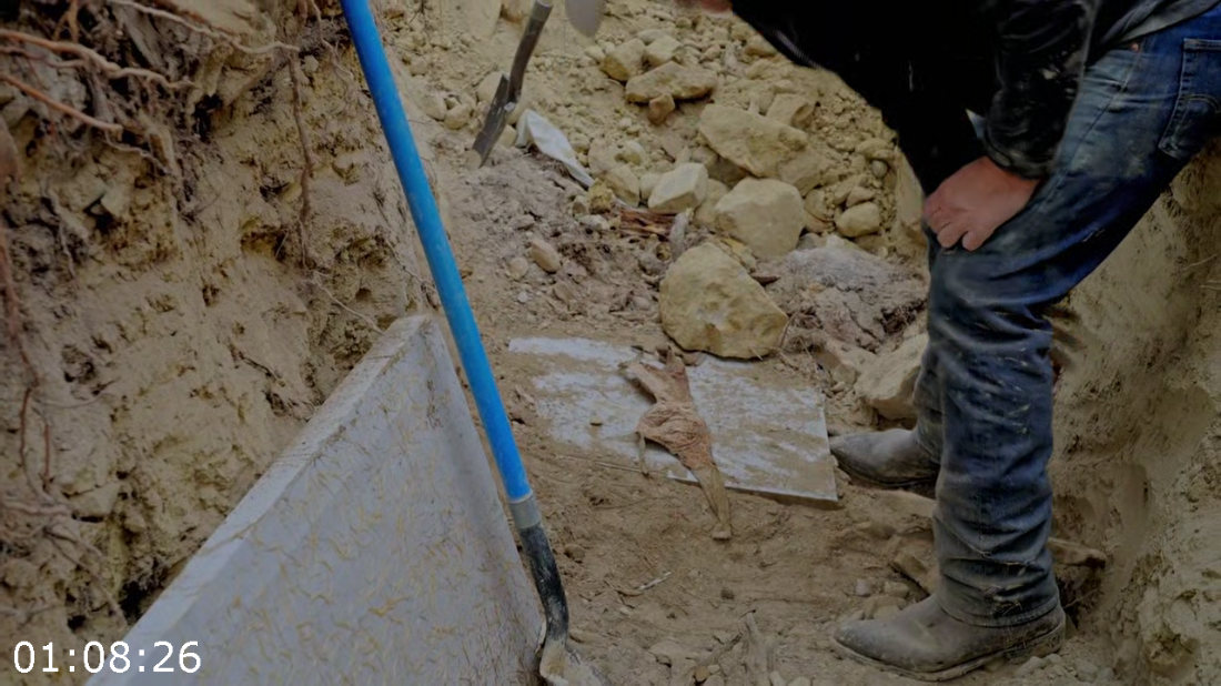 [Image: ME17O0NO_o.png]