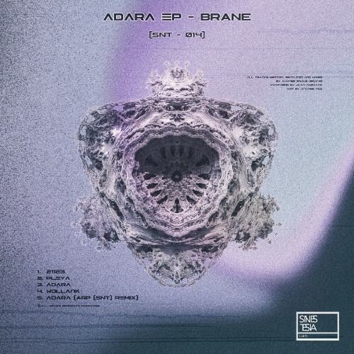  Brane - Adara (2024) 
