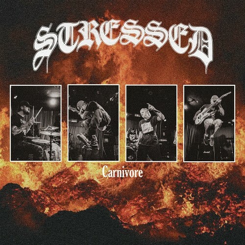 Stressed - Carnivore (2024)