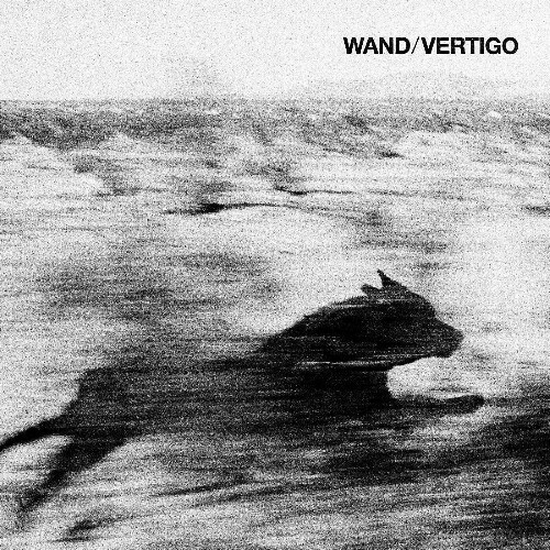 VA - Wand - Vertigo (2024) (MP3)