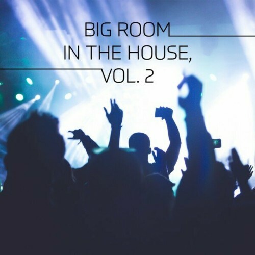  Big Room in the House, Vol. 2 (2024) 