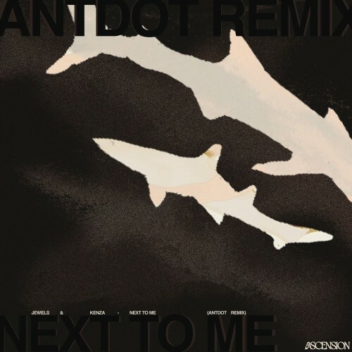  JEWELS & Kenza - Next To Me (Antdot Remix) (2024) 