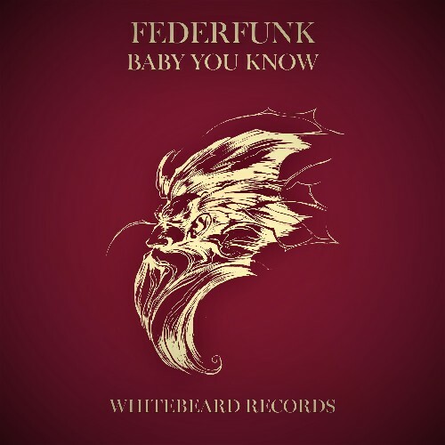  FederFunk - Baby You Know (2024) 