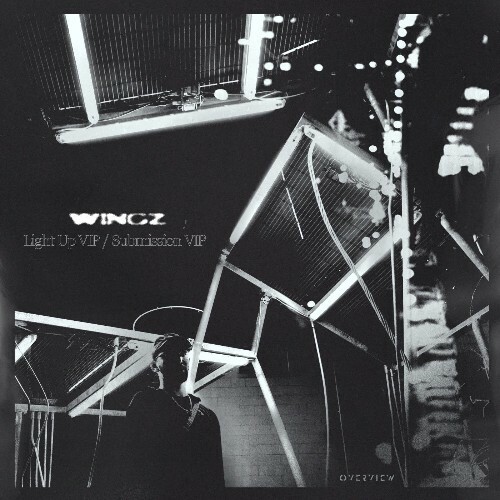 Wingz - Light Up VIP / Submission VIP (2025) 