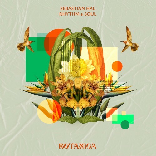  Sebastian Hal - Rhythm and Soul (2025) 