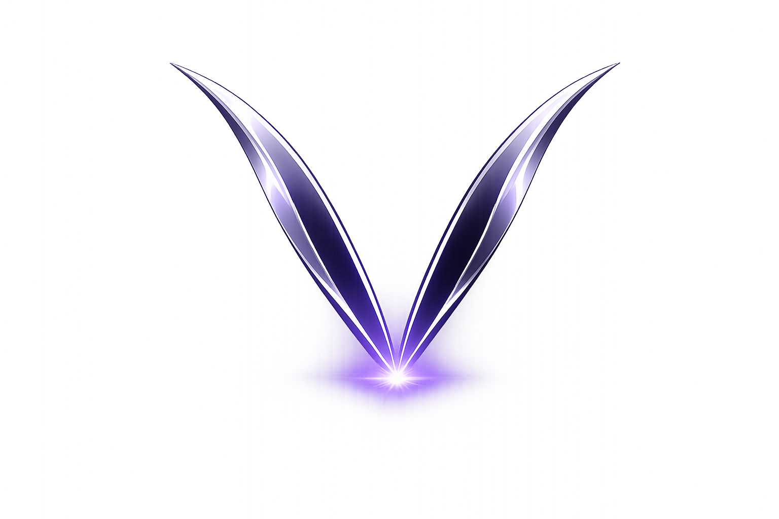 VERA Logo