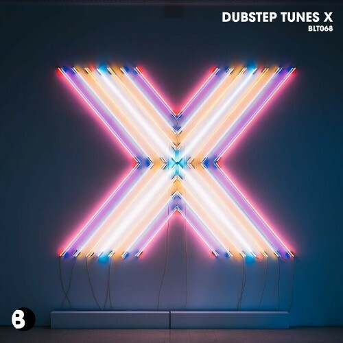 Dubstep Tunes X (2024)