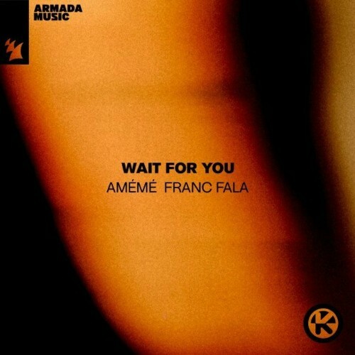  Ameme & Franc Fala - Wait for You (2024) 