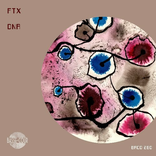  FTX - DNA (2025) 