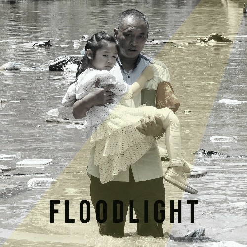  Floodlight Volume 11 (2025) 