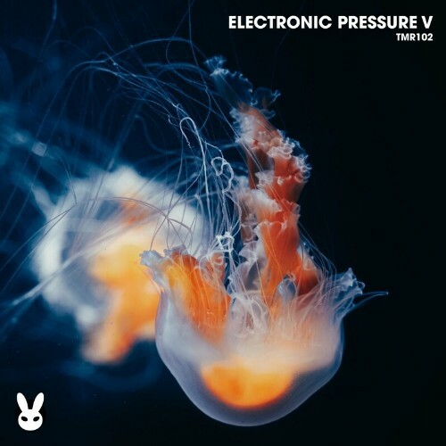  Electronic Pressure V (2024) 