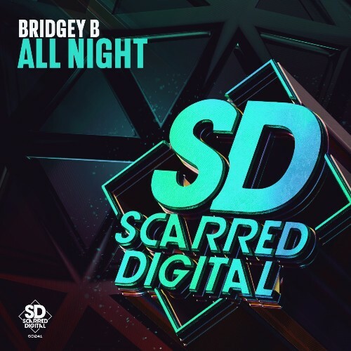  Bridgey B - All Night (2024) 