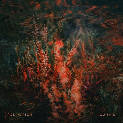  Polynation - You Said (2026) 