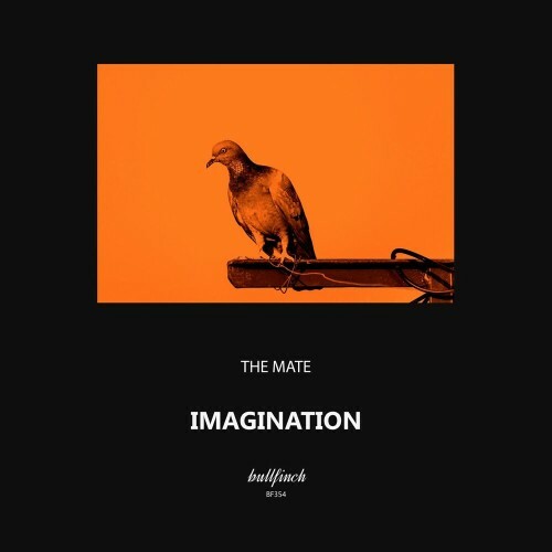  The mate - Imagination (2023) 