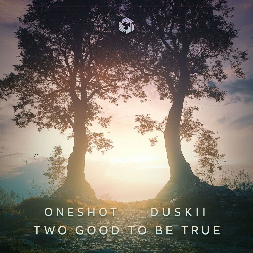  Oneshot & Duskii - Two Good to Be True (2025) 