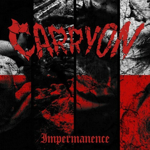 VA - Carry On - Impermanence (2024) (MP3) MEV0PVR_o