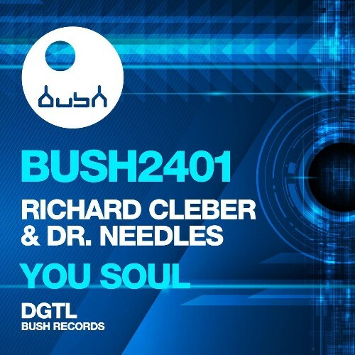 VA - Richard Cleber x Dr Needles - You Soul (2024) (MP3) METXK9M_o