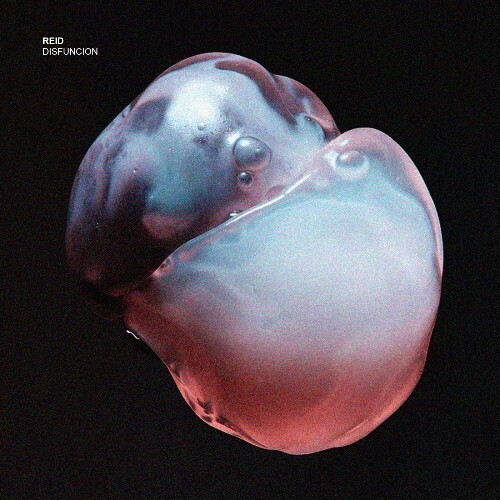  Reid - Disfunción (2026) 