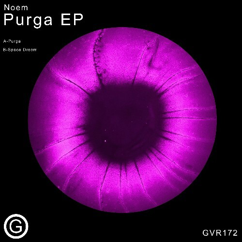  Noem - Purga (2025) 