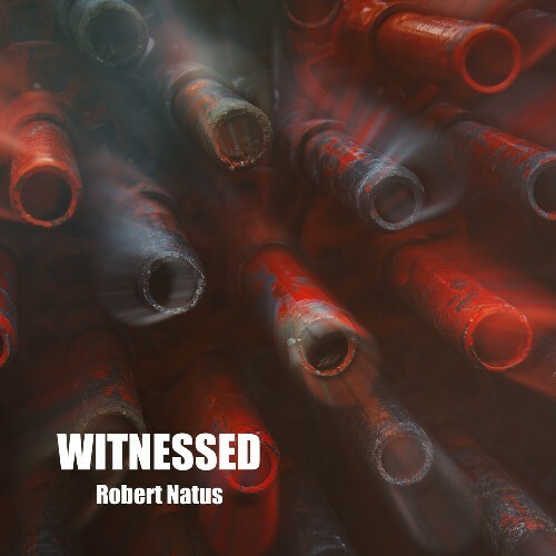 Robert Natus - Witnessed (2024)
