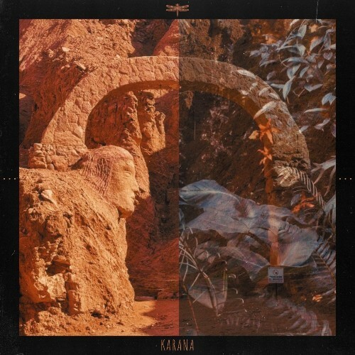  Andy Gallery - No Tropic (2026) 