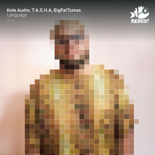  Kole Audro, T.A.S.H.A & BigFatTomas - Language (2025) 