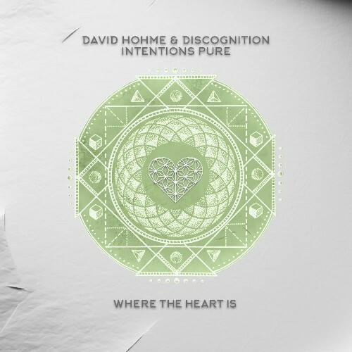  David Hohme & Discognition - Intentions Pure (2025) 