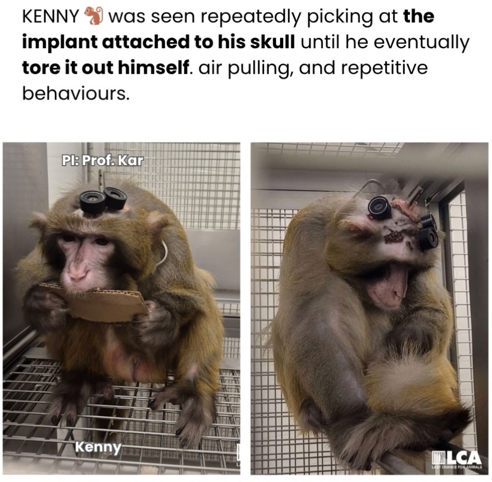 ME1CVXCI_o.jpg