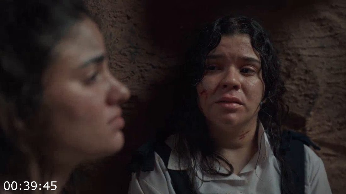 [Kép: ME19ZOMF_o.png]