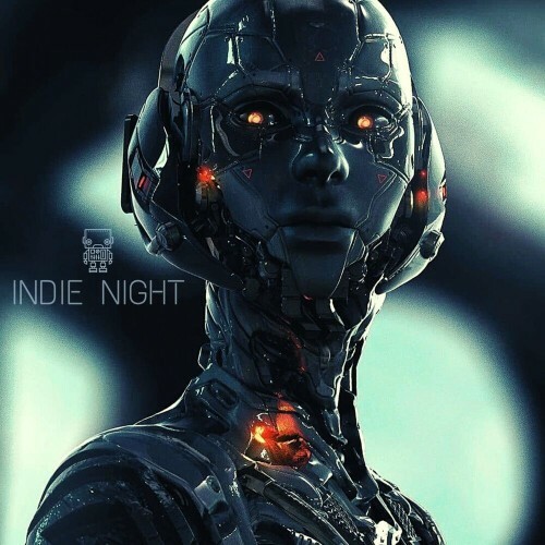  Redspace & ISMAIL.M - Indie Night (2023) 