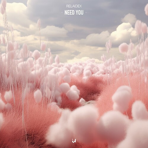 RELAIDEX - Need You (2024)