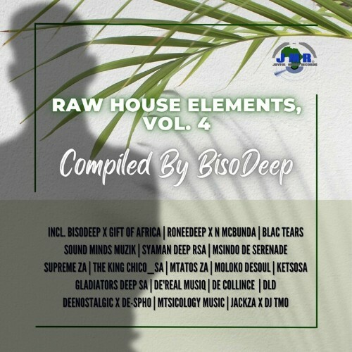  Raw House Elements, Vol. 4 (2023) 