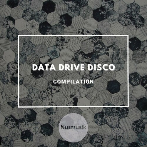  Betty Muller - Data Drive Disco (2024) 