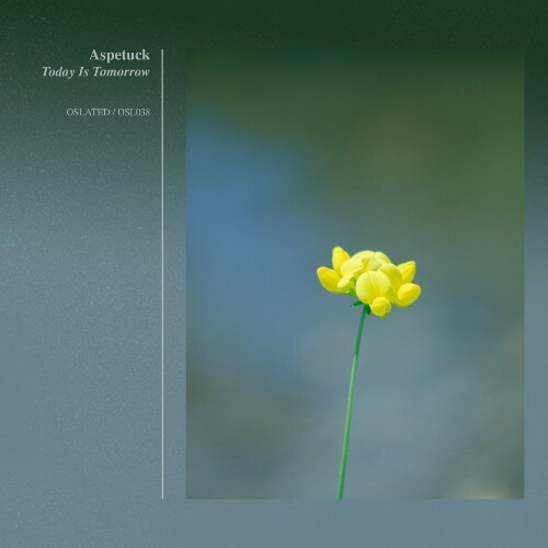 Aspetuck - Today Is Tomorrow (2025) 