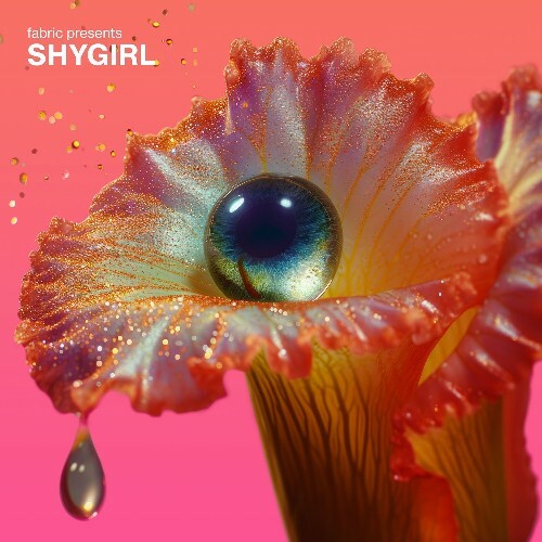  fabric presents Shygirl (DJ Mix) (2024) 