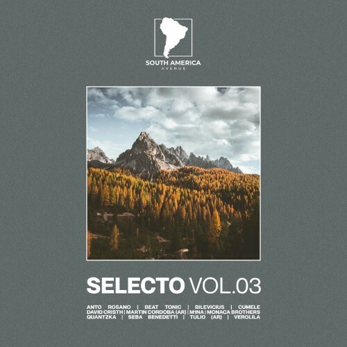  Selecto South America, Vol. 03 (2024) 