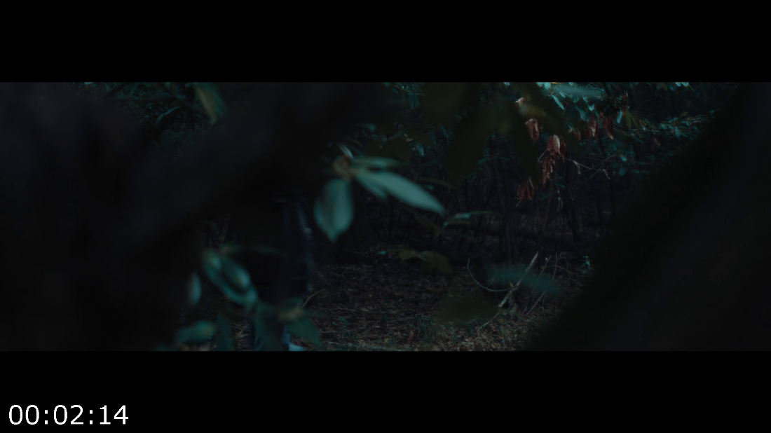 [Kép: ME1BJ2PE_o.png]