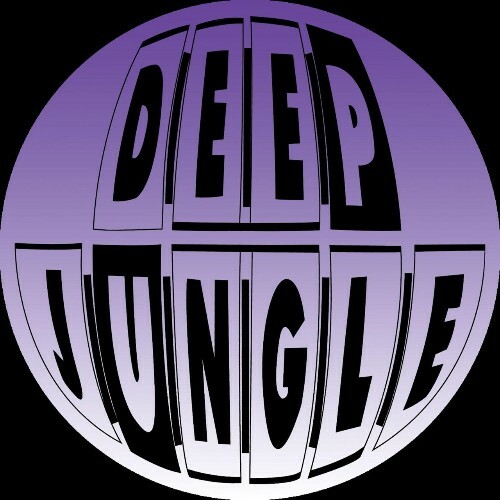  Devious D - The Groove (2025) 