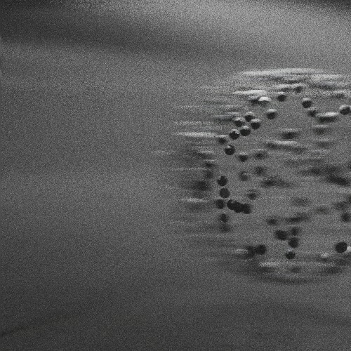  Molecular - One Dub (2026) 