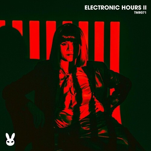 Electronic Hours II (2024)