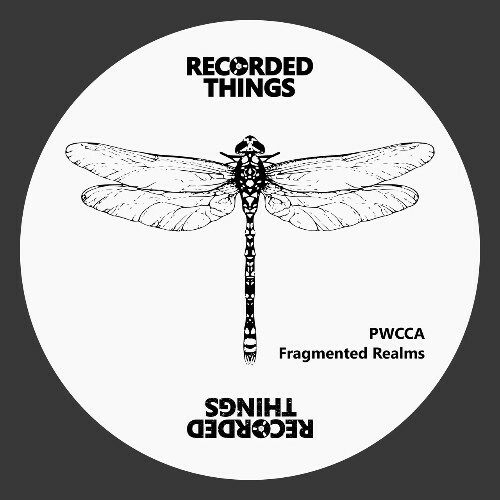  PWCCA - Fragmented Realms (2025) 