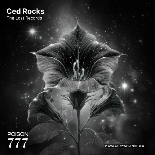 ced.rocks - The Lost Records (2026) ced.rocks - The Lost Records (2026)