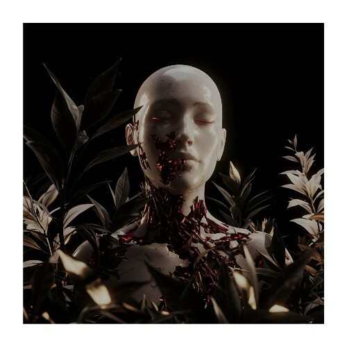  Another Soul - Fading Hope (2025) 