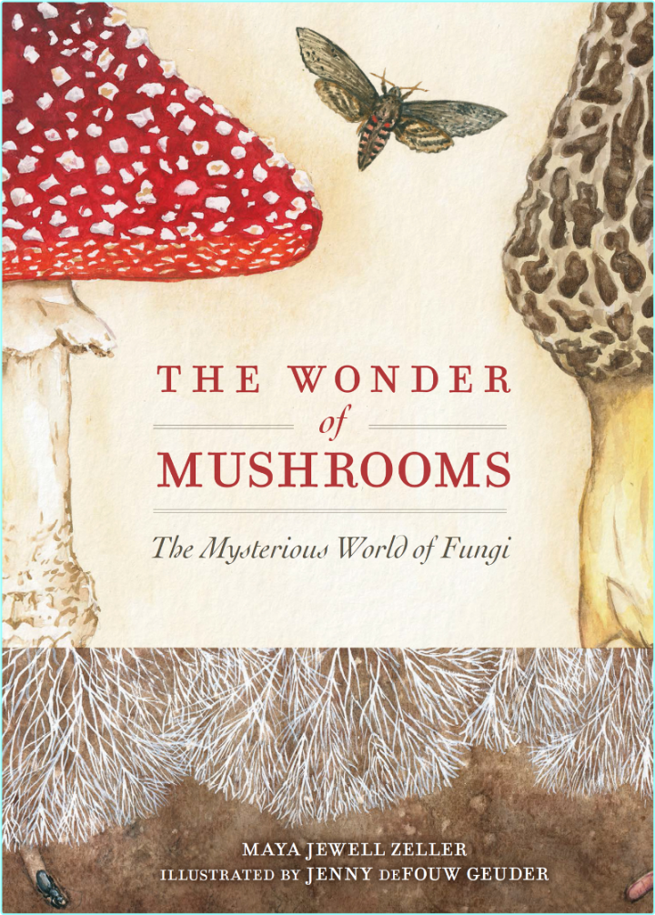 [Image: ME16YS4A_o.png]