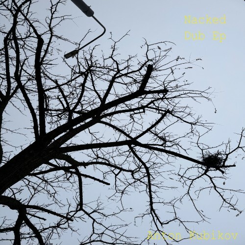  Anton Kubikov - Naked Dub (2026) 