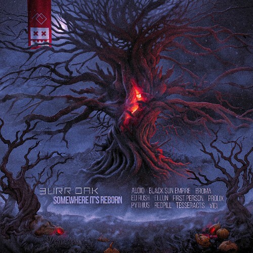  Burr Oak - Somewhere It's Reborn (2025) 