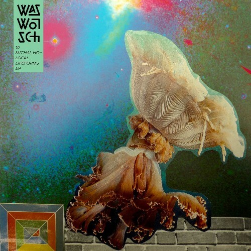  Michal Ho - Local Lifeforms (2026) 