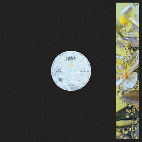 BufoBufo - Celandine (2025) 