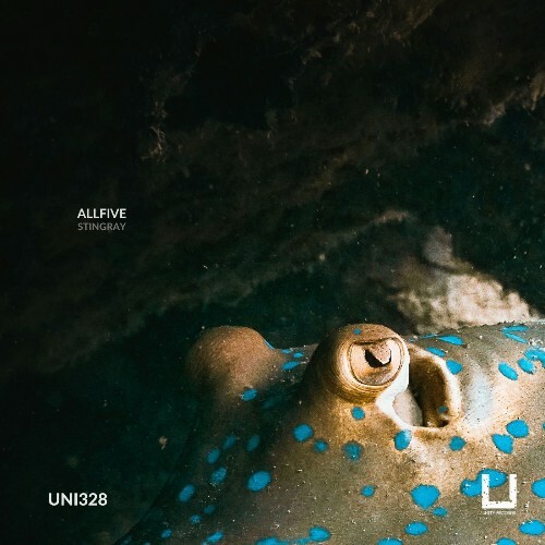  AllFive - Stingray (2026) 